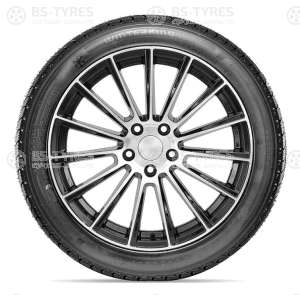 Doublestar DW02 245/75 R16 111S
