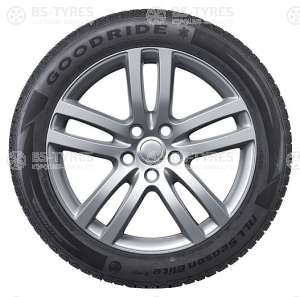 Goodride Z401 195/55 R15 89V