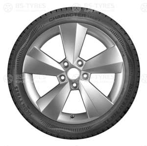 Ikon (Nokian Tyres) Character Snow 2 (Nordman RS2) SUV 215/60 R17 100R