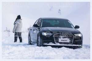 Pace Antarctica 5+ 195/55 R15 85H