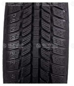 Roadx Frost WH01 195/55 R15 85H