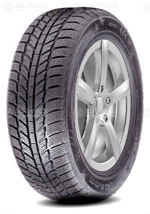 Roadx Frost WH01 195/55 R15 85H