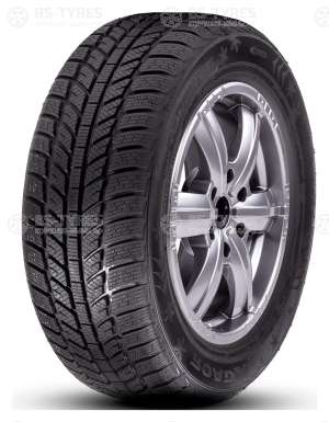 Roadx Frost WH01 195/55 R15 85H