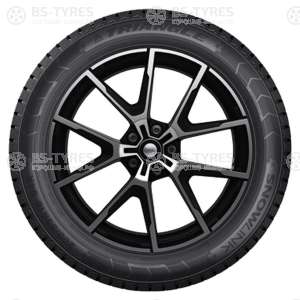 Triangle Snow PL01 215/55 R18 99R