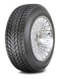 Landsail Winter Lander 155/65 R13 73T